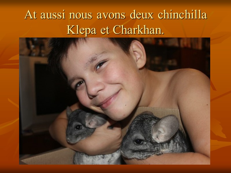 At aussi nous avons deux chinchilla Klepa et Charkhan.